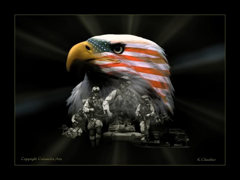 US Military Eagle Graphics, Pictures, & Images for Myspace Layouts